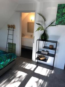 1 dormitorio con espejo y una planta en un estante en Westkapelle comfortabele Strandkamer aan de Kreek, en Westkapelle