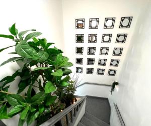 a hallway with plants and pictures on the wall at SA Stays in Wigan