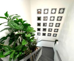 un pasillo con plantas y cuadros en la pared en SA Stays, en Wigan