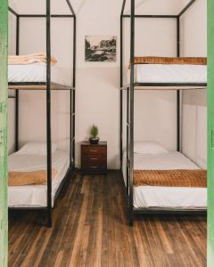Habitación con 4 literas y suelo de madera. en Wild Monkey Hostel, en Cuenca