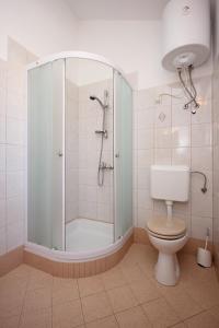 ein Bad mit einer Dusche und einem WC in der Unterkunft Apartments by the sea Ilovik, Losinj - 8069 in Ilovik