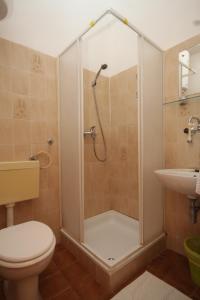 a bathroom with a shower and a toilet and a sink at Triple Room Pasman 8223e in Pašman