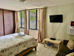 a bedroom with a bed and a tv and a couch at Entire Beach Apartment with view to El Yunque National Rain Forest in Rio Grande
