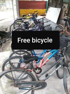 a group of bikes parked next to each other at Tony’s Guesthouse at Teluk Bahang in Batu Ferringhi +44 photos