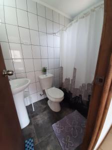 La salle de bains est pourvue de toilettes et d'un lavabo. dans l'établissement Cabaña entre Nogales, à Horcon