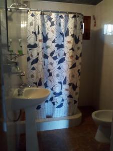 a bathroom with a shower curtain and a sink at LUZ DE LUNA 2 in San Carlos de Bariloche