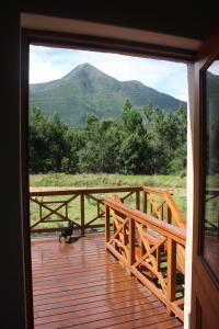 a cat standing on a deck with a view of a mountain at Fijnbosch Cottage and Camping in Stormsrivier