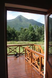 un chat debout sur une terrasse avec vue sur une montagne dans l'établissement Fijnbosch Cottage and Camping, à Stormsrivier