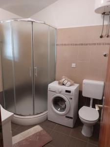 La salle de bains est pourvue d'un lave-linge et d'un lave-linge. dans l'établissement Apartment Silvana - 100 m from beach, à Božava