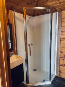 a glass shower in a bathroom with a sink at Gaol House Cottages in Bicheno