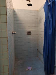 a bathroom with a shower with a blue shower curtain at Lele Panchito y Lavanda Juntos en el Centro in Querétaro