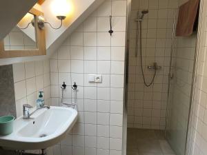 y baño con lavabo y ducha. en Apartmány Žlutý domeček, en Třeboň