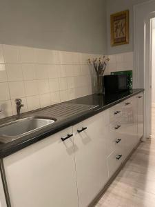 a kitchen counter with a sink and a microwave at The Vault – cosy apartment in central Hove / Brighton in Brighton & Hove