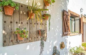 Zahrada ubytování La Casa de la Era