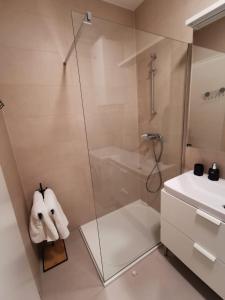 La salle de bains est pourvue d'une douche et d'un lavabo. dans l'établissement Apartman ARIA, à Zagreb