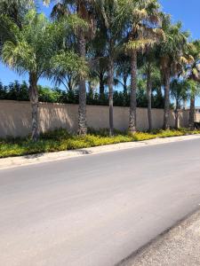 a street with palm trees on the side of a road at Villa Casole Short Lets in Copertino