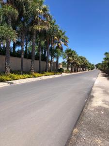 an empty road with palm trees on either side at Villa Casole Short Lets in Copertino