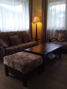 Posezení v ubytování Transylvania Villa & Spa