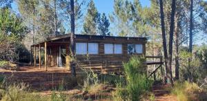 a log cabin in the woods with trees at Lekkerkry in Plettenberg Bay