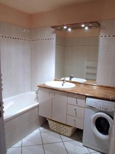 a bathroom with a sink and a washing machine at 2P 4* 58m2 face au Lac in Aix-les-Bains