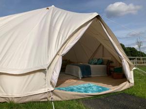 Photo de la galerie de l'établissement Twinkle Bell 4, Luxury Bell Tent with Firepit, à Bartley 6 autres photos