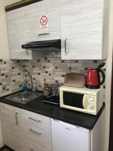 eine kleine Küche mit Mikrowelle und Spüle in der Unterkunft Bonus in Winnyzja