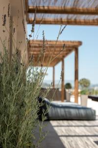 uma vista de uma casa com uma planta no primeiro plano em Ananta Blue Residence em Argasi