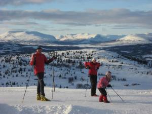 Hosté ubytování Flott fritidsleilighet i Bualie på Golsfjellet