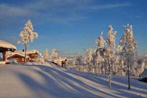 Flott fritidsleilighet i Bualie på Golsfjellet v zimě
