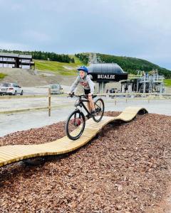 Hosté ubytování Flott fritidsleilighet i Bualie på Golsfjellet