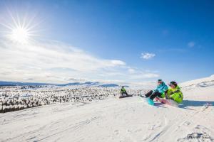 Flott fritidsleilighet i Bualie på Golsfjellet v zimě