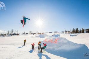 Flott fritidsleilighet i Bualie på Golsfjellet v zimě