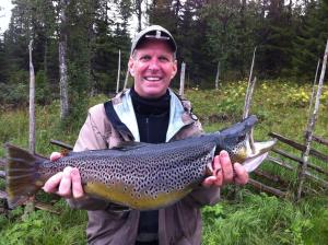 Hosté ubytování Flott fritidsleilighet i Bualie på Golsfjellet