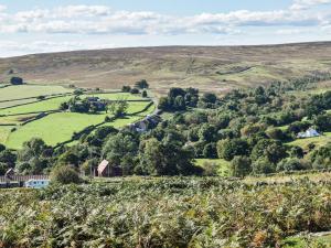 a view of a farm in the hills at Grosmont Apartment in Commondale