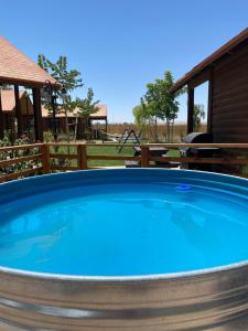 a large blue hot tub in a yard at ווילו בערבה in ‘En Yahav