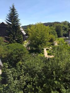- une vue sur une forêt avec des arbres et une maison dans l'établissement Apartament przy Papierni, à Duszniki-Zdrój