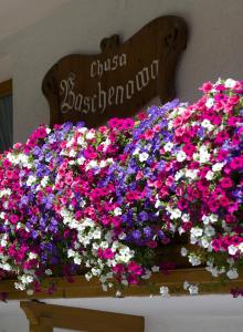 Vonkajšia záhrada v ubytovaní Chasa Baschenowa