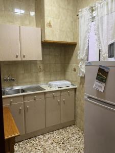 a kitchen with a refrigerator and a sink at Casa Pepe La Rosa in Tolox