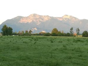 a field of grass with mountains in the background at Apartment Moosblick zwischen Bergen und See in Benediktbeuern