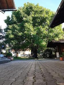 a tree in the middle of a cobblestone street at Apartment Moosblick zwischen Bergen und See in Benediktbeuern