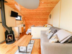 a living room with a couch and a wood stove at Beacon View Pod in Knighton