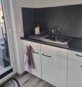 uma cozinha com um lavatório e uma bancada em Fewo Ostseenähe em Bentwisch