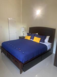 ein Schlafzimmer mit einem großen Bett mit blauer Bettwäsche und gelben Kissen in der Unterkunft Villa Maison de Soleil in Florence Hall