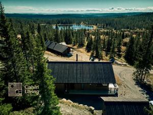 an aerial view of a cabin in the woods at Modern New Large Cabin Ski in out Sjusjøen in Ringsaker
