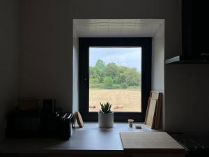 una ventana en una cocina con una maceta en Casa Caliza en Puertas