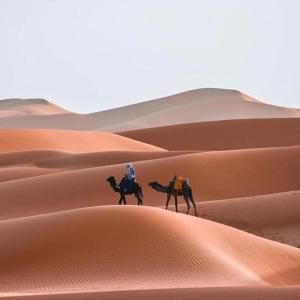 Zwei Menschen reiten auf Kamelen in der Wüste in der Unterkunft Mhamid camp activités in Mhamid