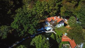 an aerial view of a house in the woods at Рибарник Forest Мagic in Topolitsa