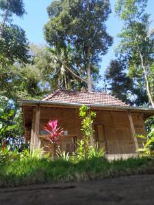 Giardino di omah kayu jagalan