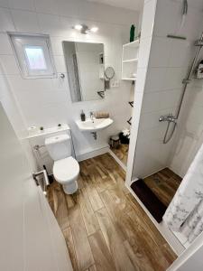 ein weißes Bad mit einem WC und einem Waschbecken in der Unterkunft Tramini Apartmanok in Eger