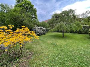 a garden with yellow flowers in the grass at A l'Ombre des tilleuls in Husseren-Wesserling